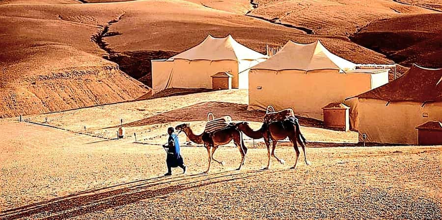Marrakech : Quad Bike and Camel Ride with dinner in Agafay - Music, dancing, and the fire show
