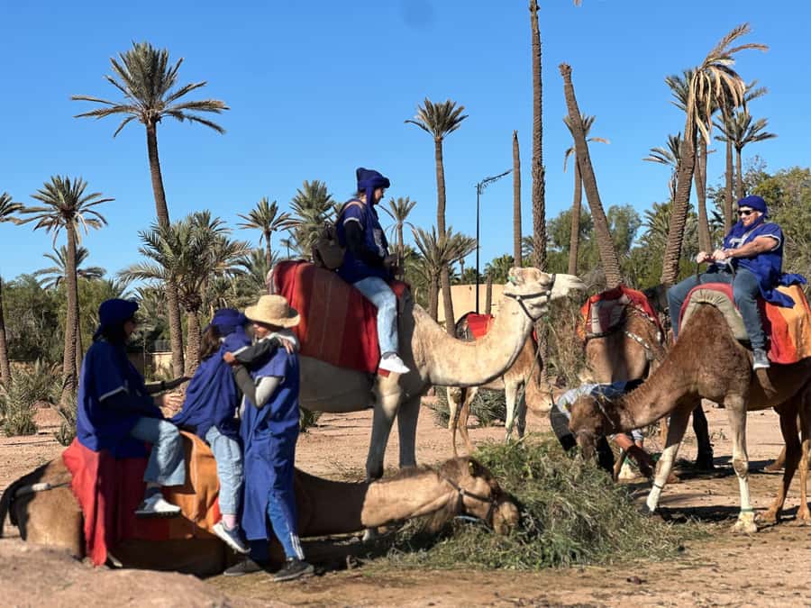 Marrakech: Quad Bike excursion at the sunset with Tea Break - Sunset is the real star of the ride