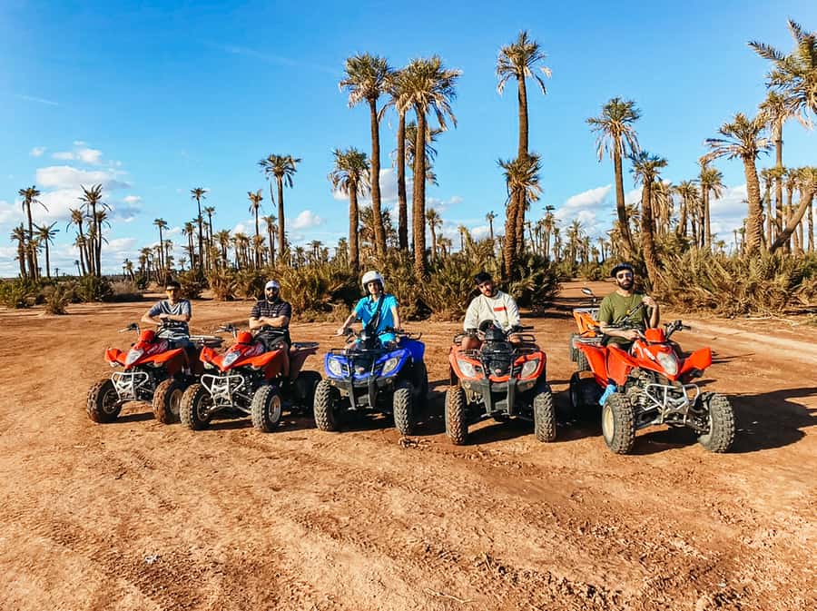 Marrakech: Quad Bike Tour to Palm Oasis and Jbilat Desert - The useful details at a glance