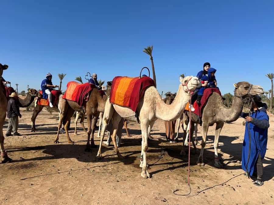 Marrakech:quad excursion at Jbilet desert with Moroccan tea - Key points before you book