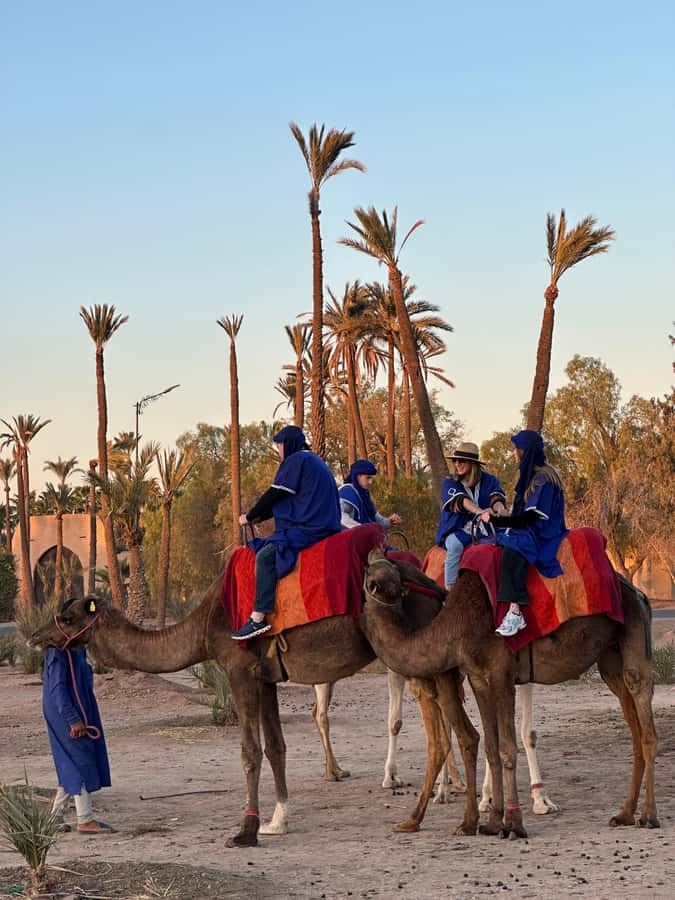 Marrakech:quad excursion at Jbilet desert with Moroccan tea - Leaving Marrakech for the Jbilet desert