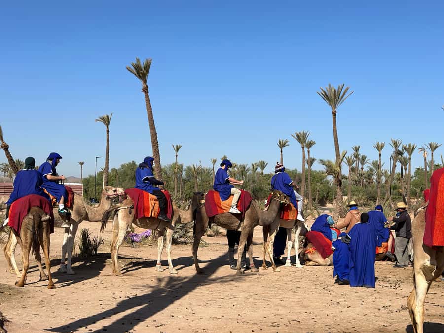 Marrakech:quad excursion at Jbilet desert with Moroccan tea - Safety, road crossings, and riding conditions