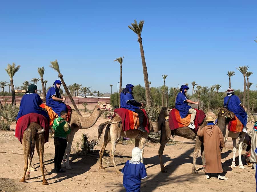 Marrakech:quad excursion at Jbilet desert with Moroccan tea - How the quad arrangement affects your price