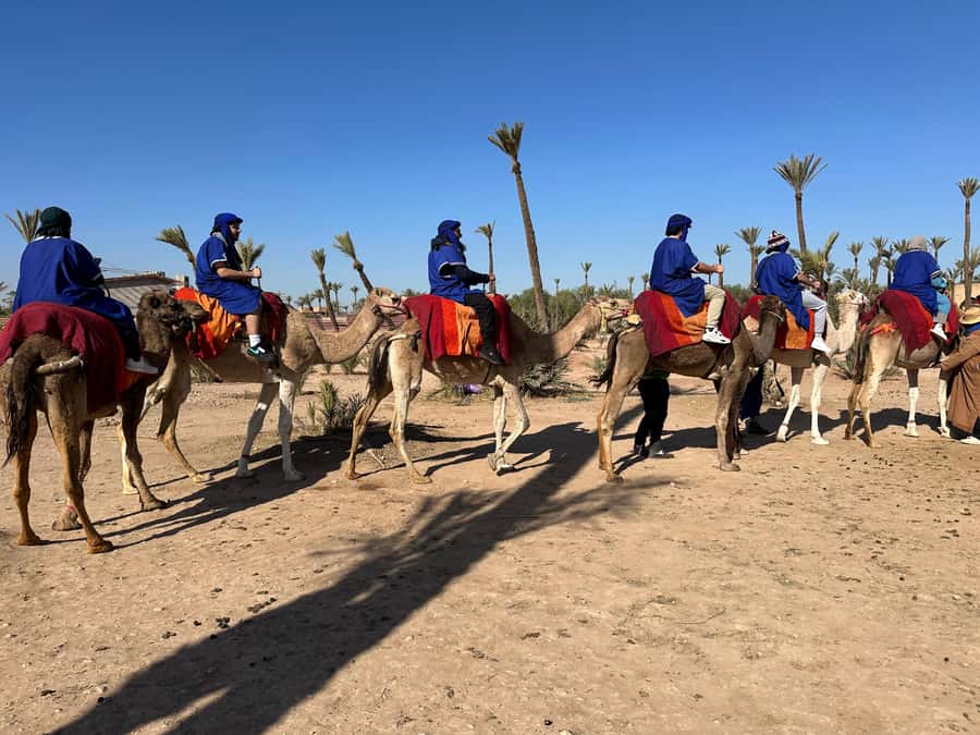 Marrakech:quad excursion at Jbilet desert with Moroccan tea - Who will enjoy this outing most