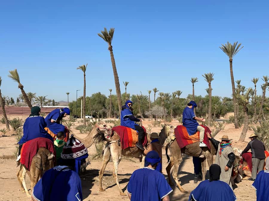 Marrakech:quad excursion at Jbilet desert with Moroccan tea - Practical clothing and packing advice