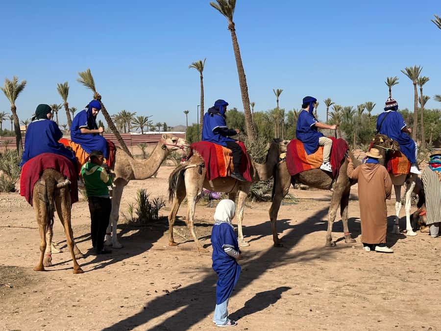 Marrakech:quad excursion at Jbilet desert with Moroccan tea - Booking flexibility and languages