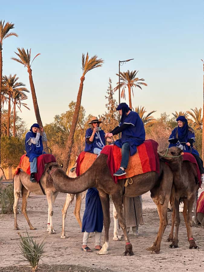 Marrakech:quad excursion at Jbilet desert with Moroccan tea - Two hours through palms and desert tracks