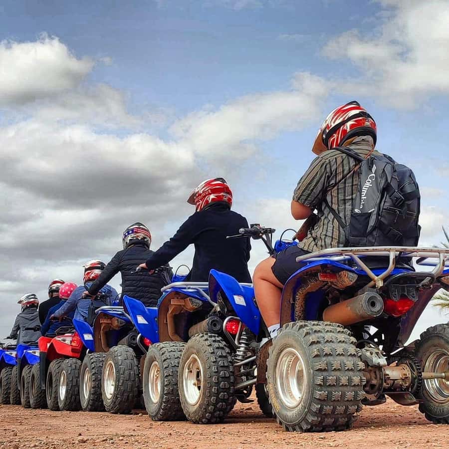 Marrakech: Quad excursion in the palm trees of Marrakech - Quick take: what matters most