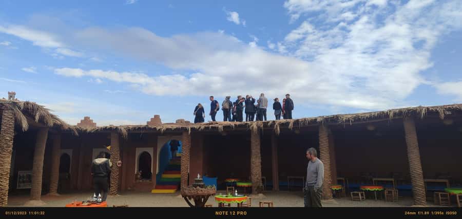 Marrakech: Quad excursion in the palm trees of Marrakech - Choosing the camel option