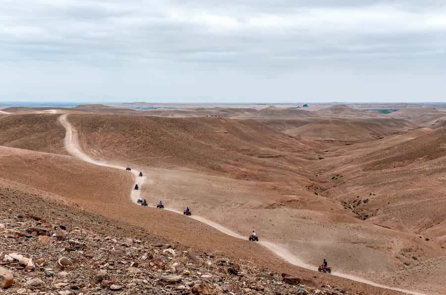 Marrakech: Quad Tour in Jbilets Desert with Palm Grove - Who should book this activity