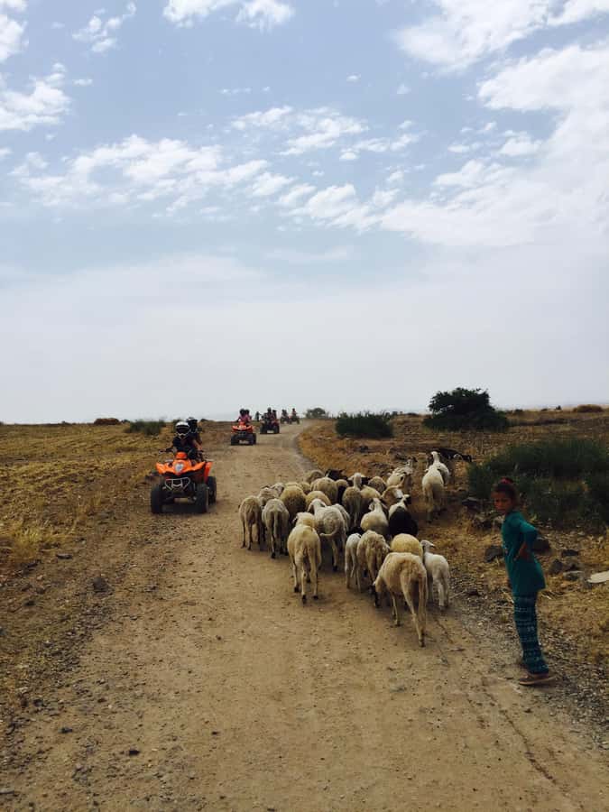Marrakech: Quad Tour in Jbilets Desert with Palm Grove - Should you book the Jbilets quad tour?