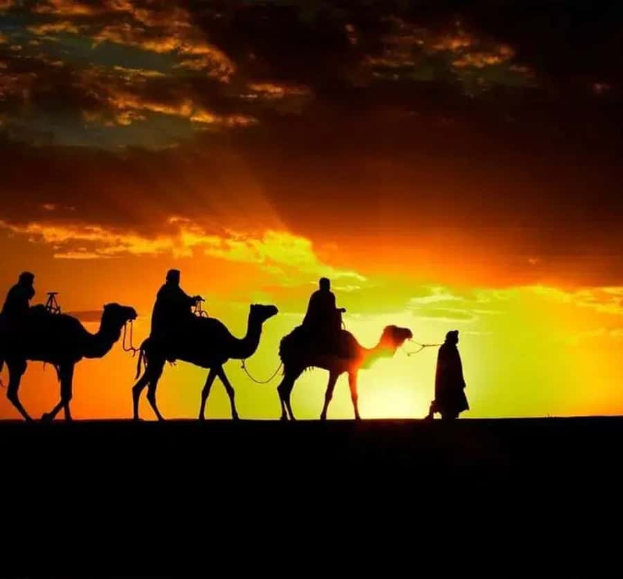 Marrakech: Sunrise Desert Tour with Camel Ride and Breakfast - Leaving Marrakech while the city is still quiet