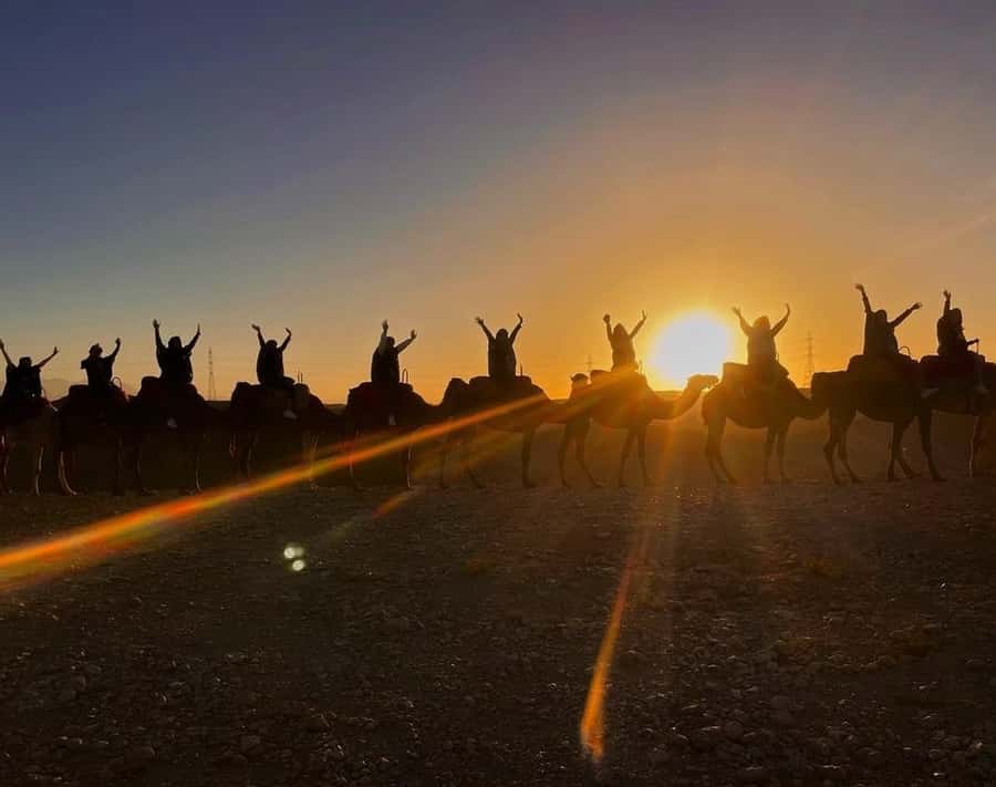 Marrakech: Sunrise Desert Tour with Camel Ride and Breakfast - Should you book it?