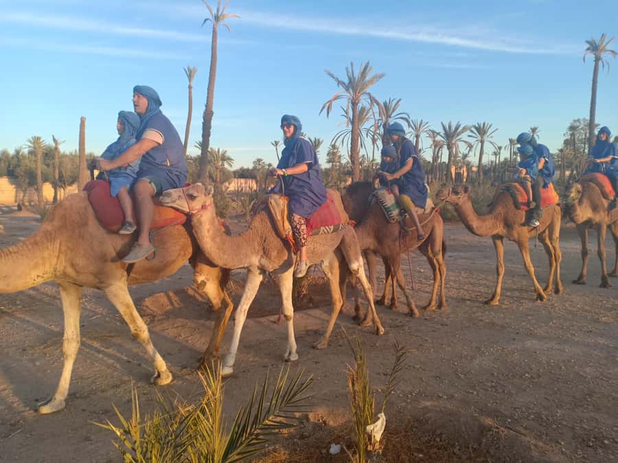 Marrakech: Sunset Camel Ride in the Palmeraie - Meeting the camels and dressing for the ride