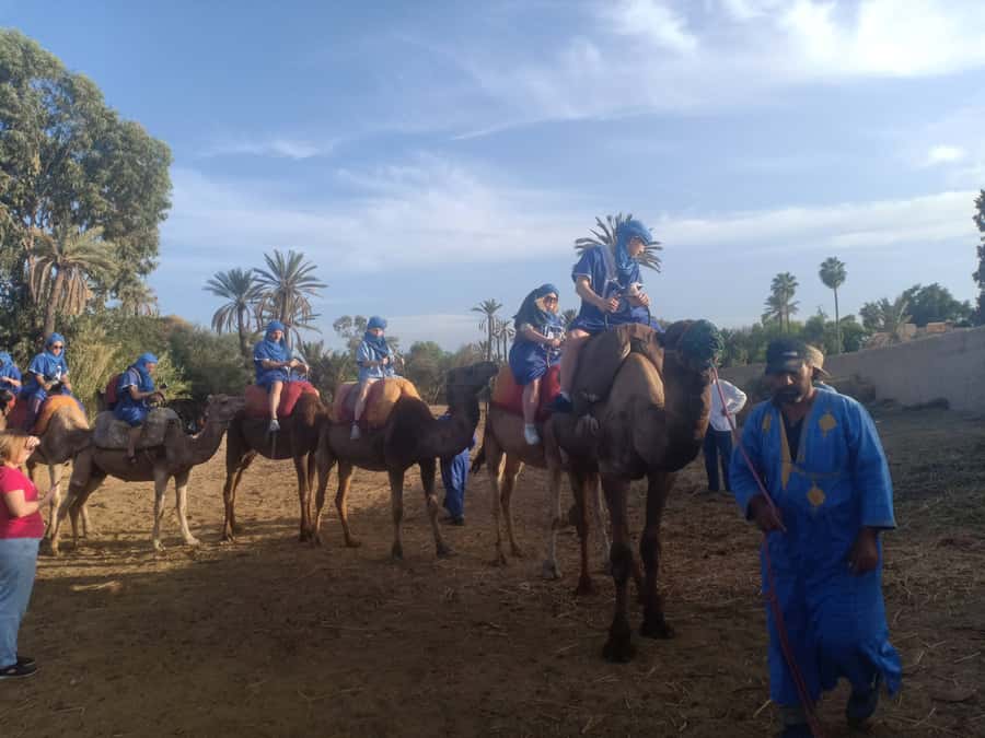 Marrakech: Sunset Camel Ride in the Palmeraie - One hour among the palm trees