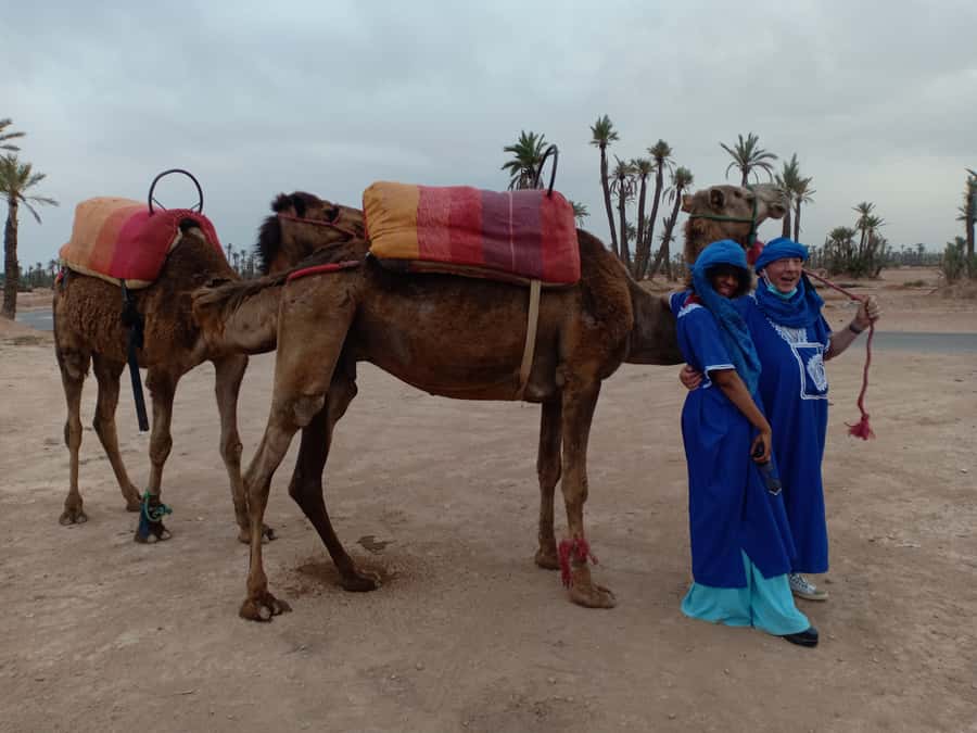 Marrakech: Sunset Camel Ride in the Palmeraie - The sunset question
