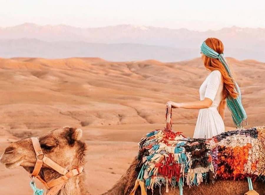 Marrakech: Sunset Dinner in Agafay Desert with Camel Ride - From Marrakech to the Agafay hills in 40 minutes