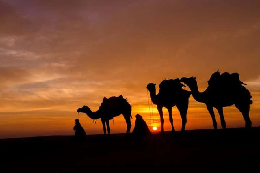 Marrakech: Sunset Dinner in Agafay Desert with Camel Ride - Who should book this experience?