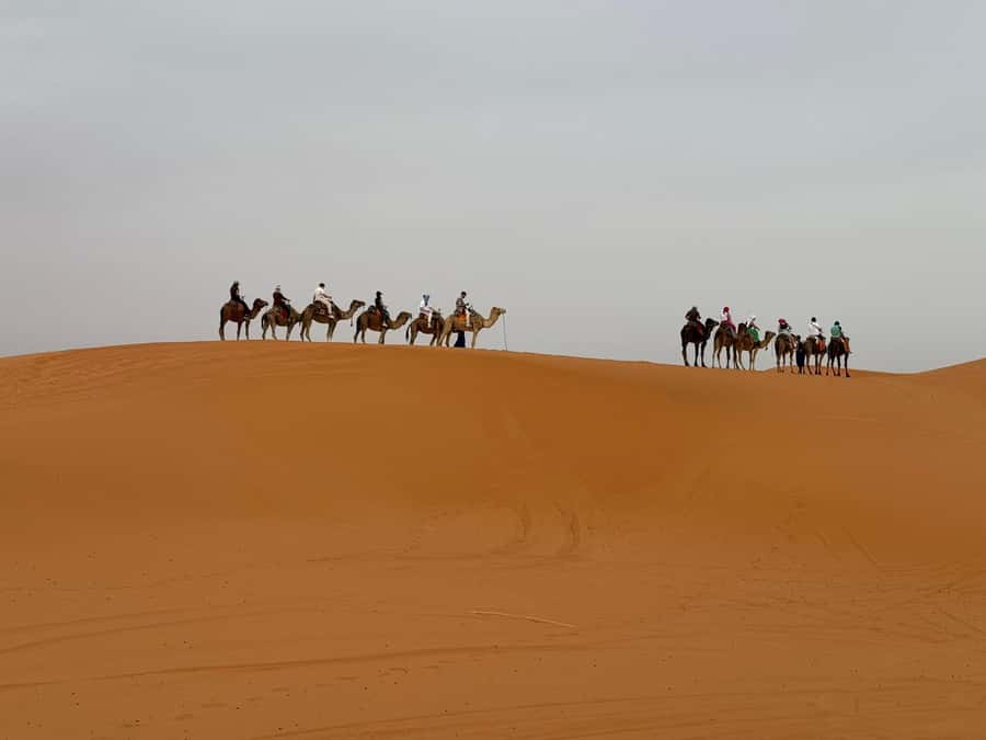Marrakech To Fes: 3-Day Majestic Desert Sahara Tour - Sunrise, the Middle Atlas, and arrival in Fes