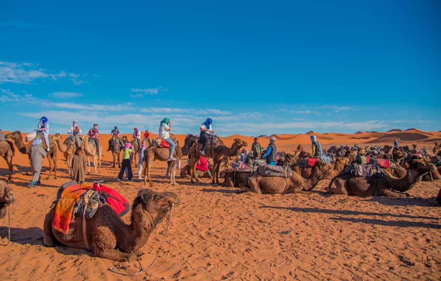 Marrakech to Fes: 3-Day Merzouga Desert Camel & Sandboarding - Why this route works so well