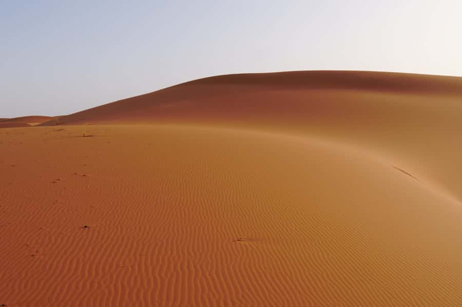 Marrakech to Fes 3-Day Sahara Desert Tour - Guides, drivers, and the small-group setup