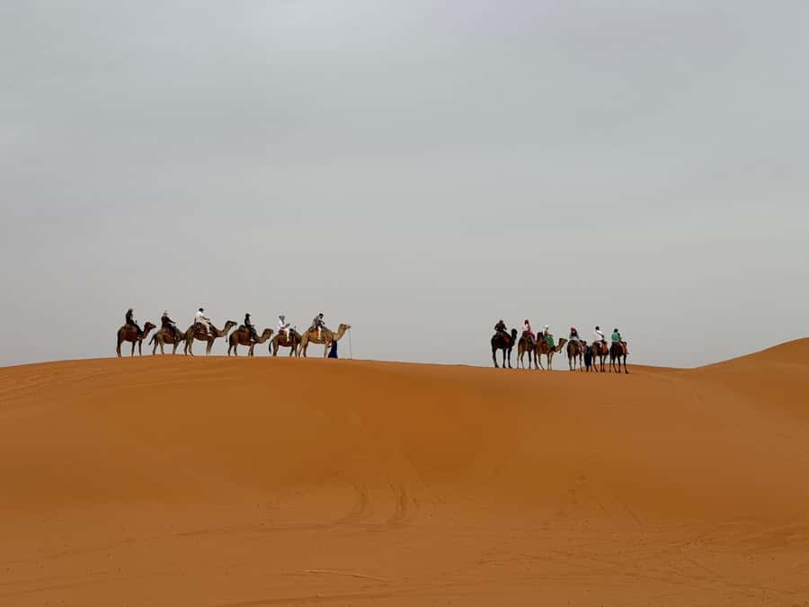 Marrakech to Fes 3-Day Sahara Desert Tour - Day one: Tizi n’Tichka and Aït Ben Haddou