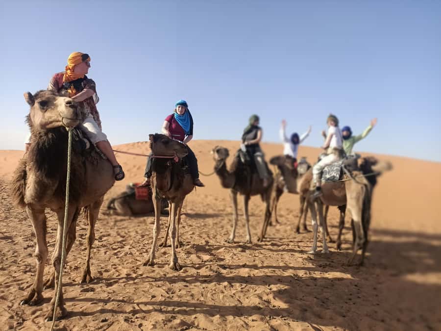 Marrakech to Fez via Merzouga Desert 3-Days Sahara Tour - Should you book the Marrakech to Fes desert tour?