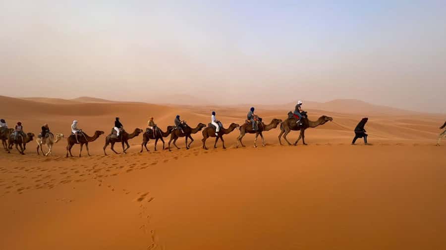 Marrakech to Merzouga: 3-Day Desert Adventure - Who should book this desert trip