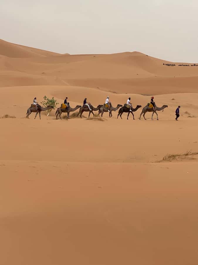 Marrakech To Merzouga : 3-Day Dreams Tours & Luxury Camp - Should you book the Marrakech to Merzouga tour?