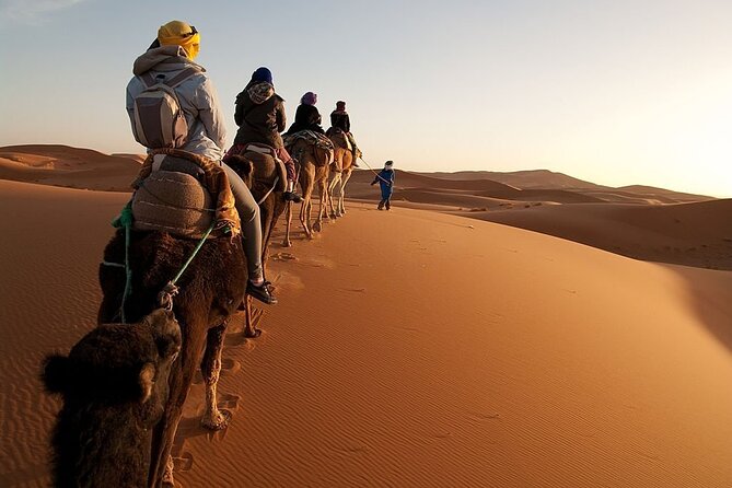 Marrakech to Merzouga Desert 3-Day via the High Atlas Mountains - The real appeal: Morocco changes by the hour