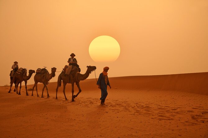 Marrakech to Merzouga Desert 3-Day via the High Atlas Mountains - What the $127.45 price really buys