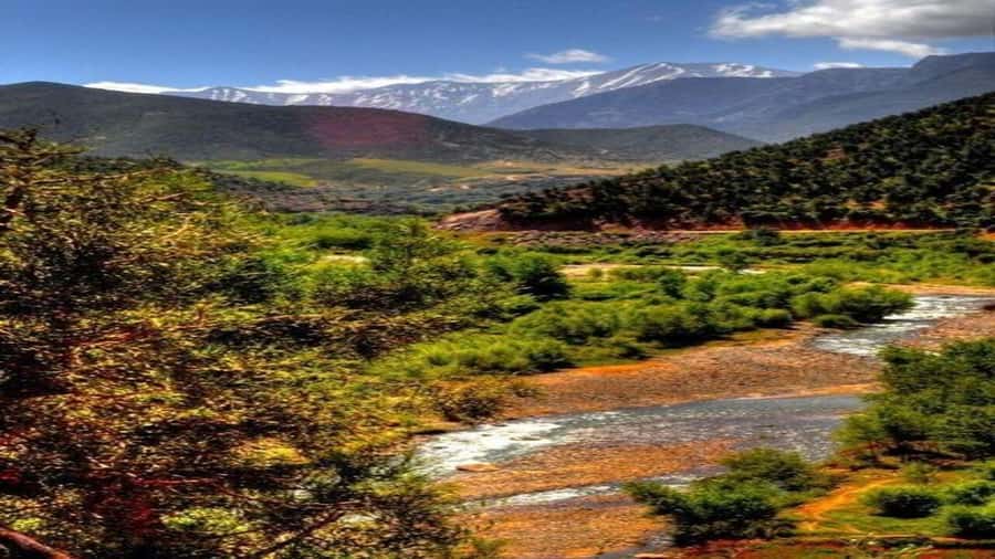 Marrakech to Ourika Valley-Scenic Day Tour Lunch & Waterfal - Lunch beside the Ourika River