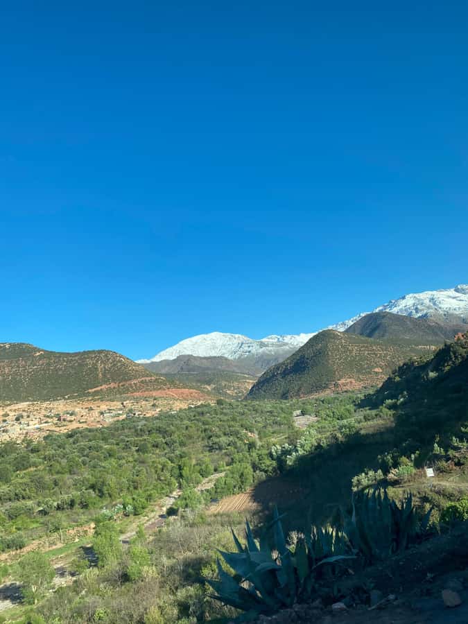 Marrakech to Ourika Valley-Scenic Day Tour Lunch & Waterfal - Practical advice for a smoother day