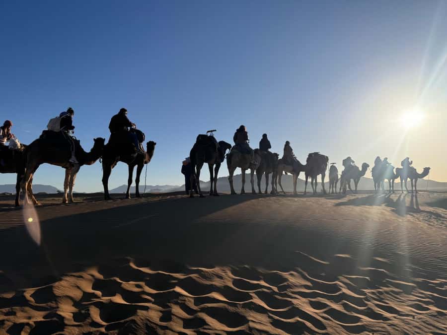 Marrakech to Zagora:2-Day Luxury Sahara Tour with Camel Ride - Ouarzazate and the road into the Draa Valley