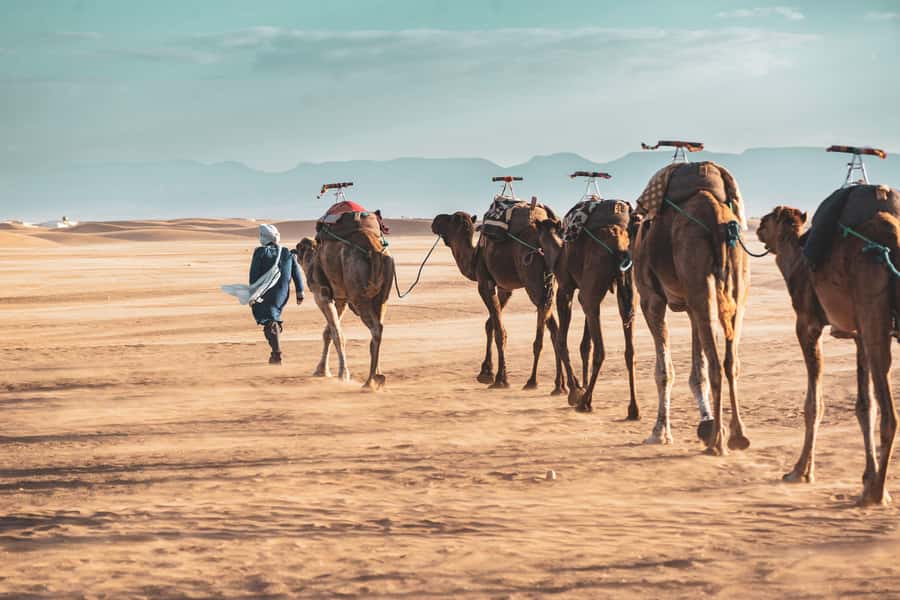 Marrakech to Zagora Desert: 2-Day trip via Ait Benhadou - Why Zagora works for a short desert trip