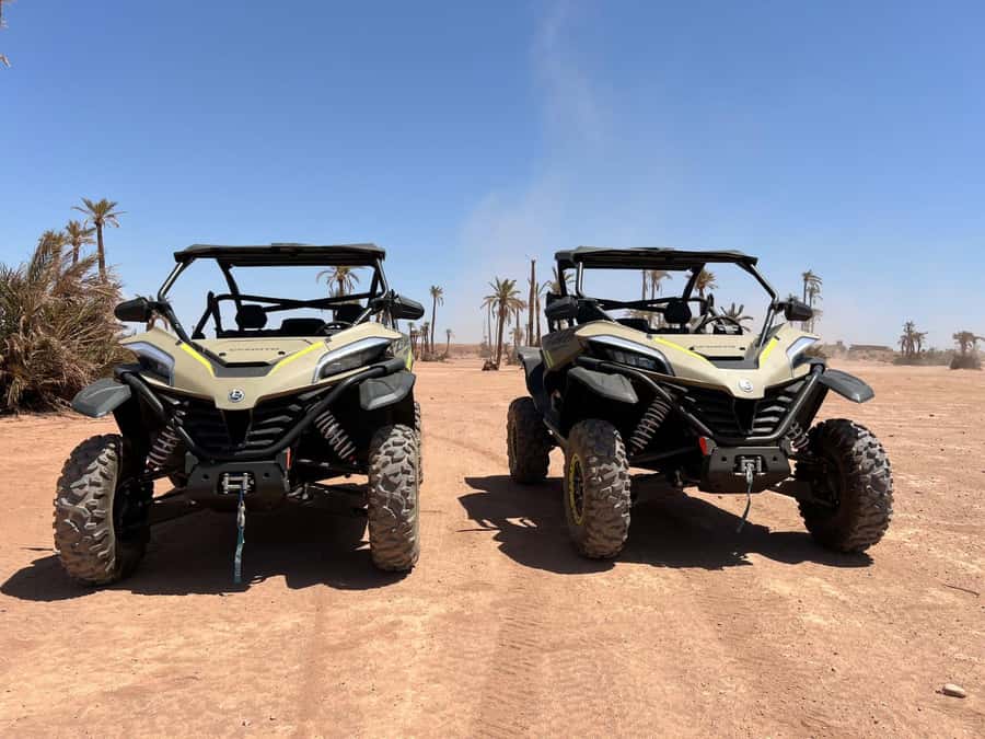 Marrakech: Tour Buggy 1000cc In Palm Oasis and Jbilat Desert - What this buggy tour is really like