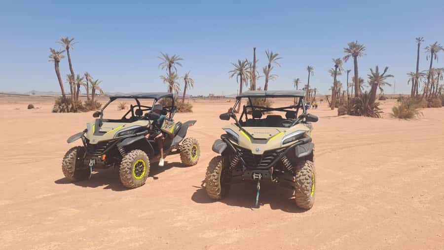 Marrakech: Tour Buggy 1000cc In Palm Oasis and Jbilat Desert - The 30-minute ride from Marrakech to the Palmeraie
