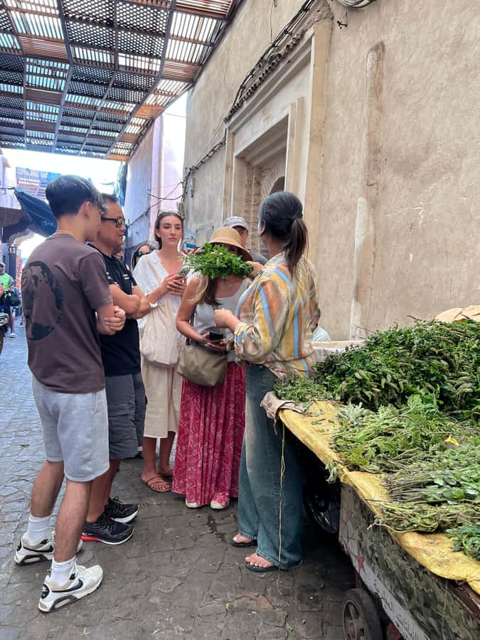 Marrakech: Traditional Moroccan Cooking Class & Market Visit - Who will enjoy this class most?
