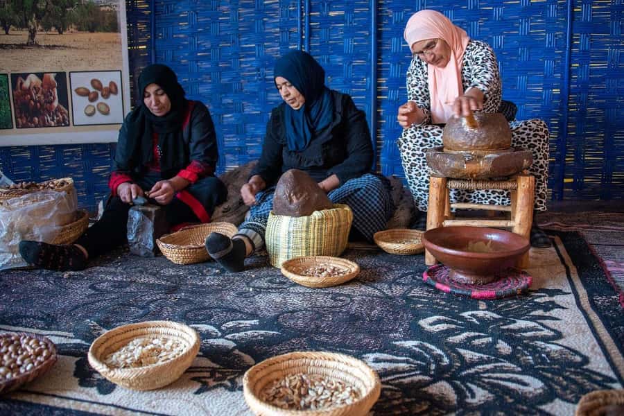 Marrakech: Waterfall, Valley, Atlas Mountain, Camel & Desert - A first stop for argan oil and Moroccan tea