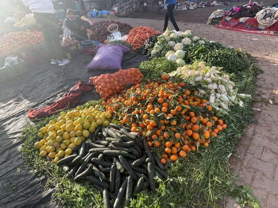 Marrakech: Waterfall, Valley, Atlas Mountain, Camel & Desert - Waterfalls, views, and the second walk