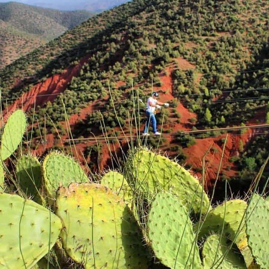 Marrakech: Zipline and Breakfast in the Atlas Mountains - FAQ
