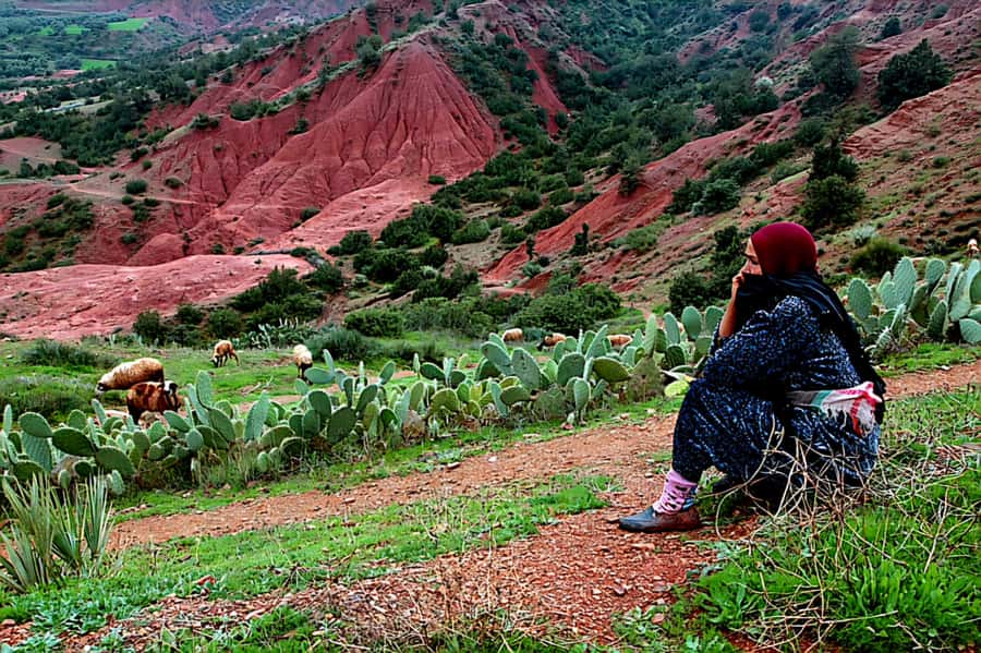 Marrakech: Zipline and Breakfast in the Atlas Mountains - My verdict on this Atlas Mountains morning