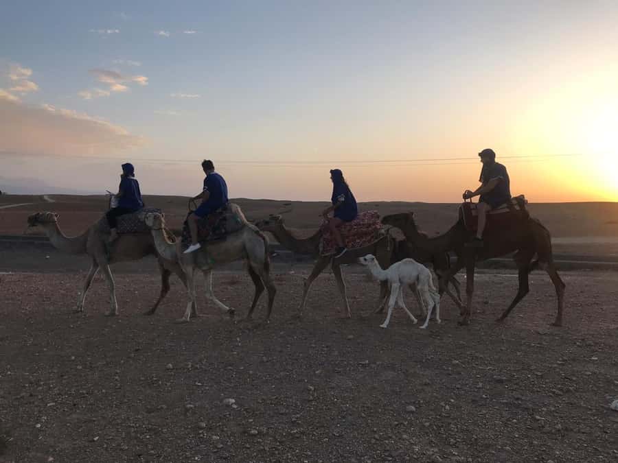 Marrakesh: Agafay Desert Quad & Camel Tour with Dinner - What to pack for the five-hour outing