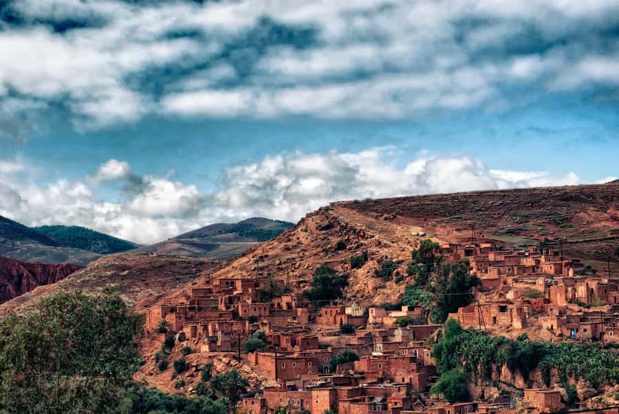 Marrakesh: Desert & Mountain Tour with Camel Ride & Lunch - Price, timing, and what the $22 includes