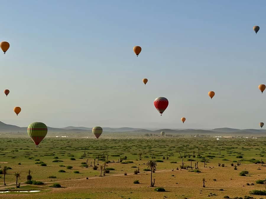 Marrakesh: Early Morning 40-Minute Balloon Flight - A pre-dawn departure from Marrakech