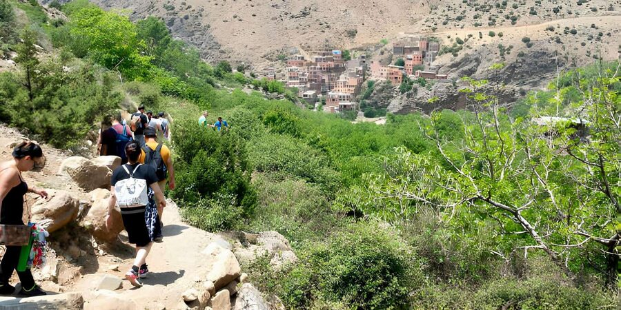 Marrakesh: Ourika Valley & Atlas Mountains Day Trip + Lunch - Who will enjoy this day most