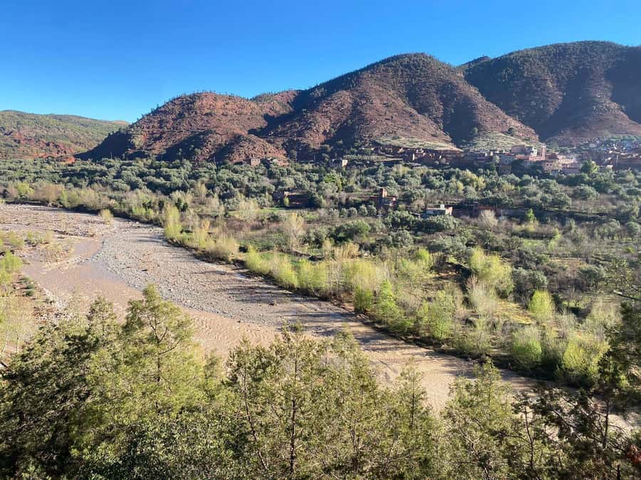 Marrakesh: Ourika Valley Tour & Secret Berber Lunch + Guide - The women-run Argan oil cooperative