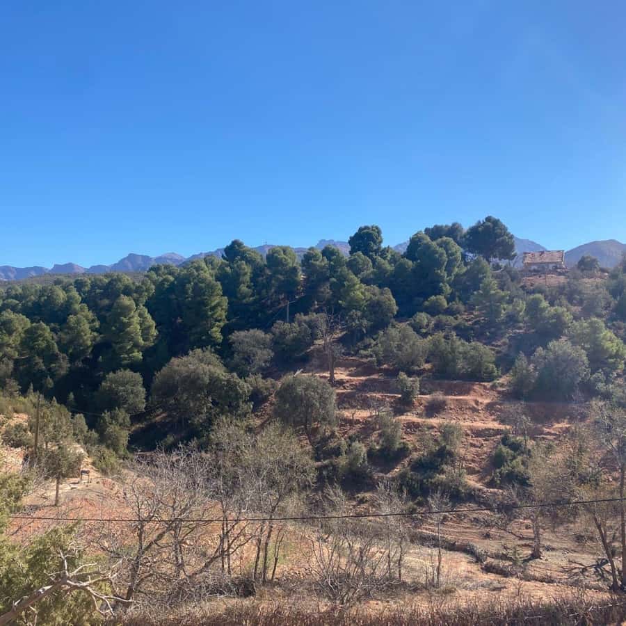 Marrakesh: Ourika Valley Tour & Secret Berber Lunch + Guide - Tnin Ourika market on Mondays