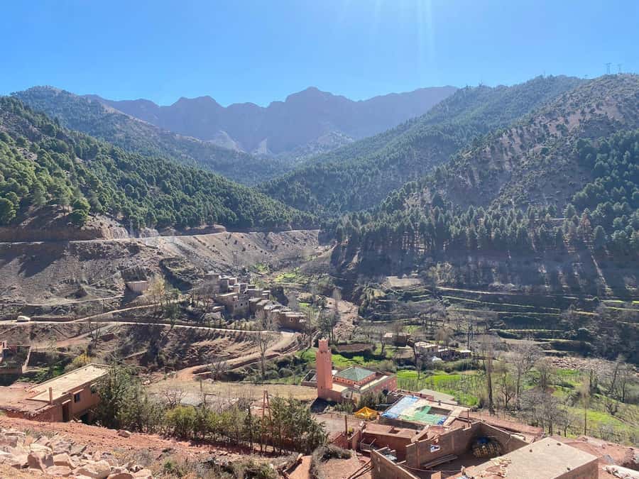 Marrakesh: Ourika Valley Tour & Secret Berber Lunch + Guide - Languages, packing, and practical comfort