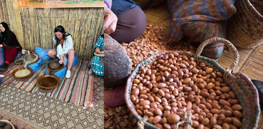 Marrakesh: Ourika Waterfalls, Atlas Mountains, Guide + Lunch - The argan oil cooperative with a purpose